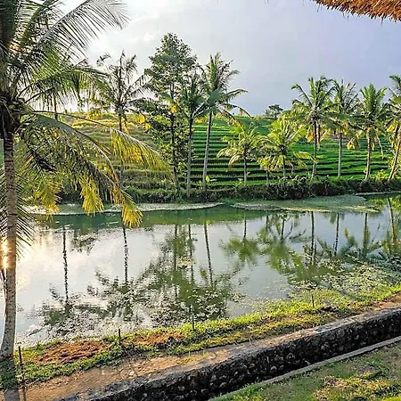Alam Taman Villa